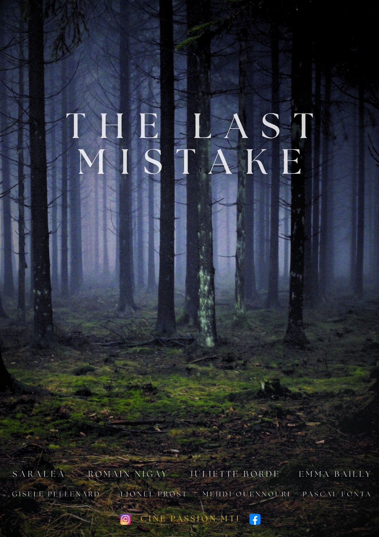 Affiche film THE LAST MISTAKE